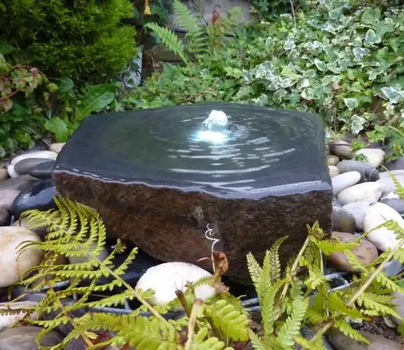 别小看这一隅水景,它让庭院有了灵气