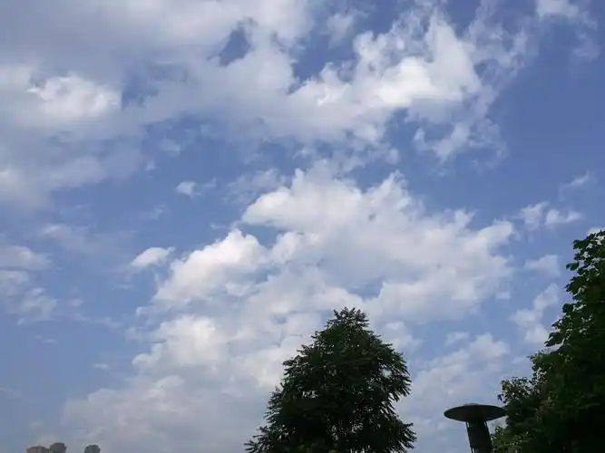 清晨起来的一缕蓝色让整个人都神清气爽.