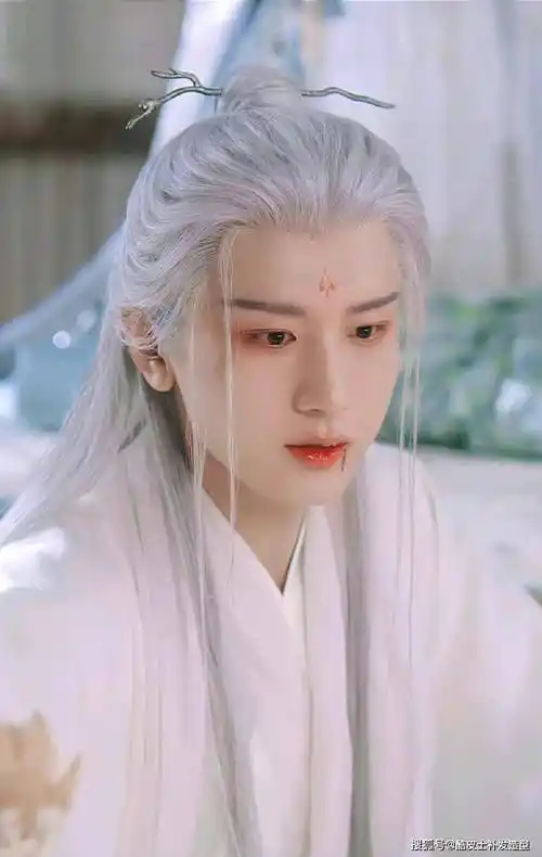 成毅马天宇被称为白发男神,王鹤棣一跃成美男_假发_化纤_造型