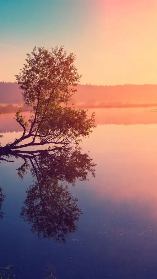 心如止水亦如明镜