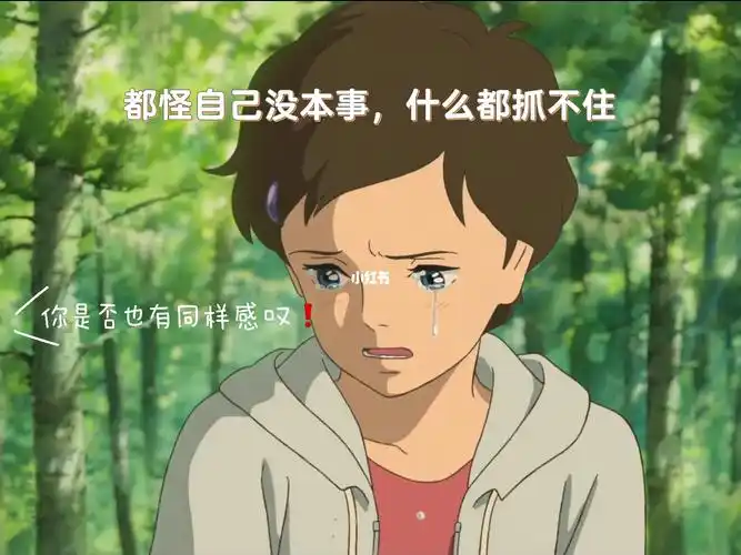 都怪自己没本事,所以什么都抓不住