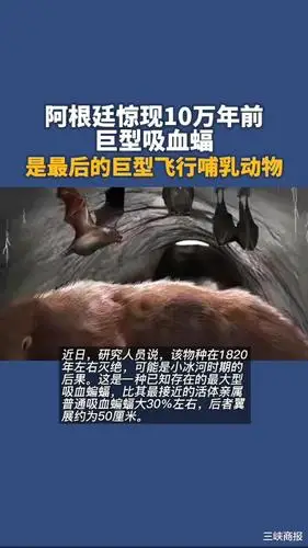 阿根廷惊现10万年前巨型吸血蝠,是最后的巨型飞行哺乳动物