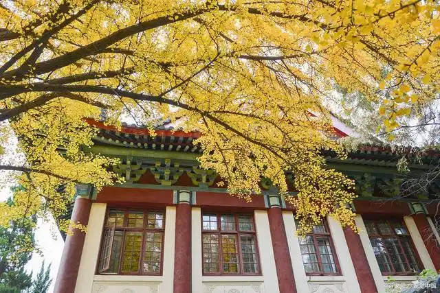 看大学选专业——南京师范大学