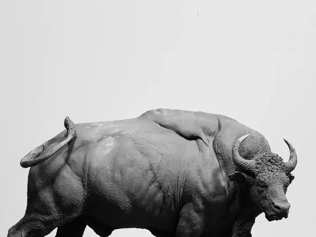 离谱模型 | 雄伟的白肢野牛.来自图南工作室的作品 秘境亚洲 - 抖音