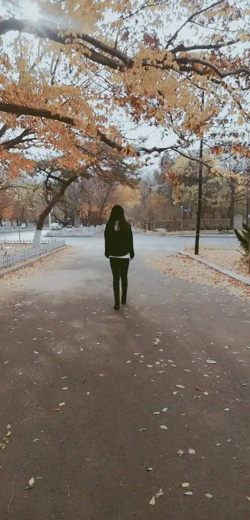 被纸飞机折掉飞走的那几年