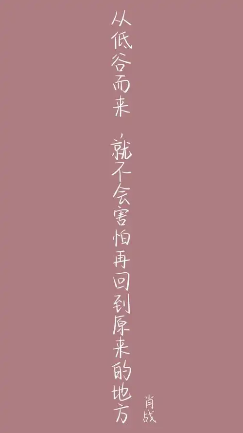 自制::二传标明出处 自制语录壁纸/肖战