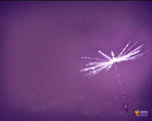 win7简洁动态,高清图片,系统壁纸,win7-回车桌面