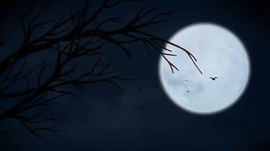 4k唯美神秘夜晚蓝黑色摇曳月亮树梢背景mp4