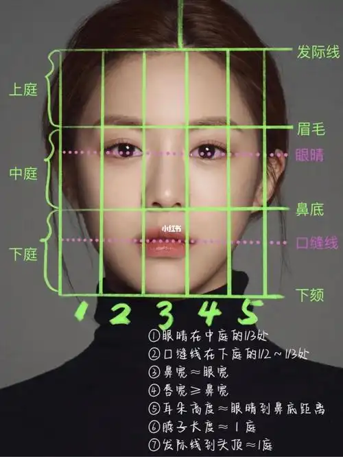 一张图搞懂三庭五眼,有用记得收藏哦#ipad人像速写  #procreate绘画