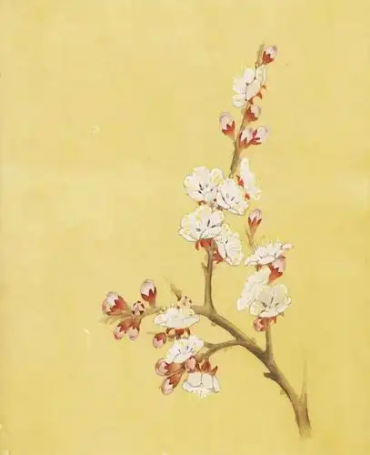 工笔彩墨杏花画法喜欢收藏