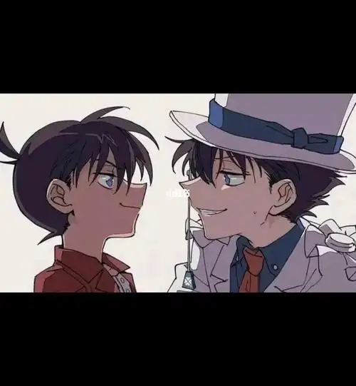 什么是柯基柯基柯南和怪盗基德