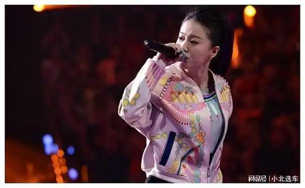 34岁成了人生赢家|那英|车澈|张碧晨|百度软件|中国好声音第三季_网易