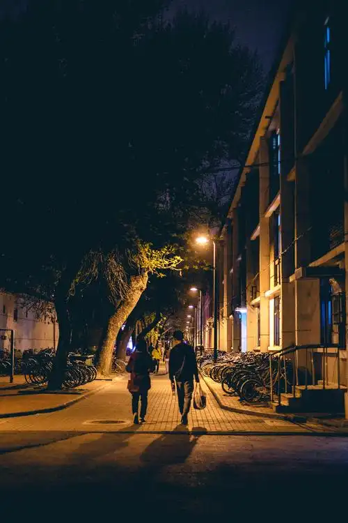 路灯下匆匆赶路的背影