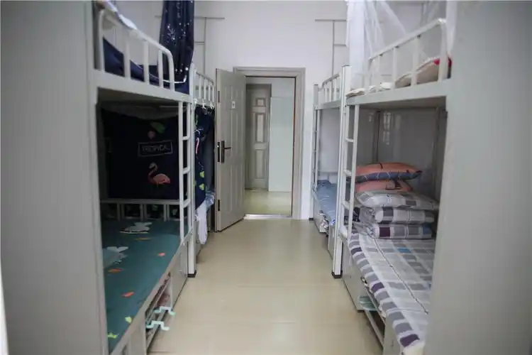 注入新鲜血液绽放全新活力