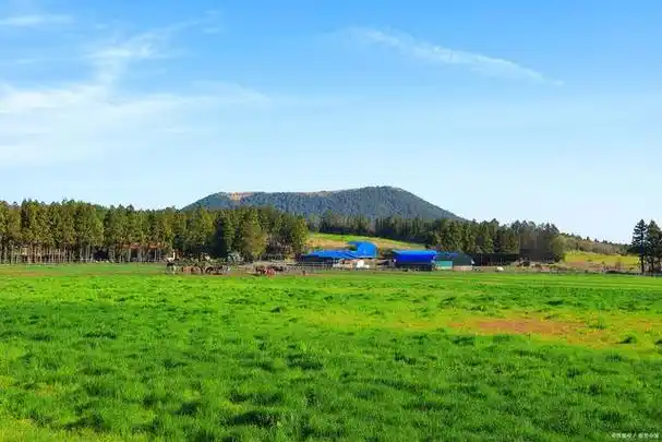 木兰草原原来这么好玩