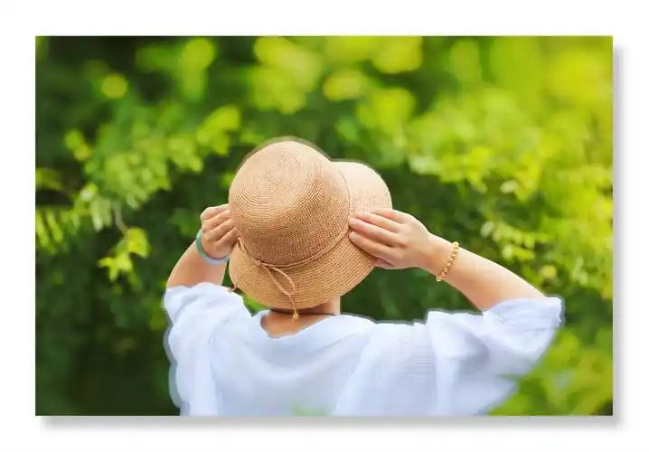 夏日里的一缕清风