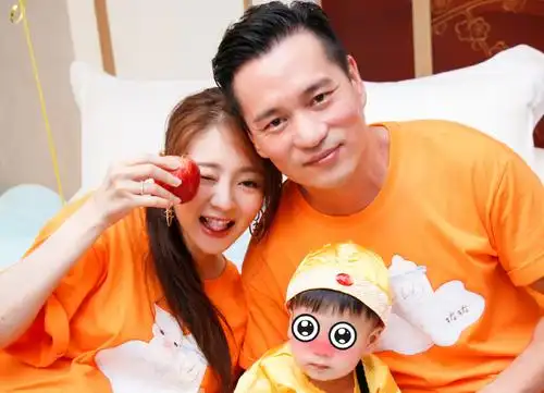 当然,结婚生子后,安以轩的事业基本处于暂停状态,尤其是如今又怀上