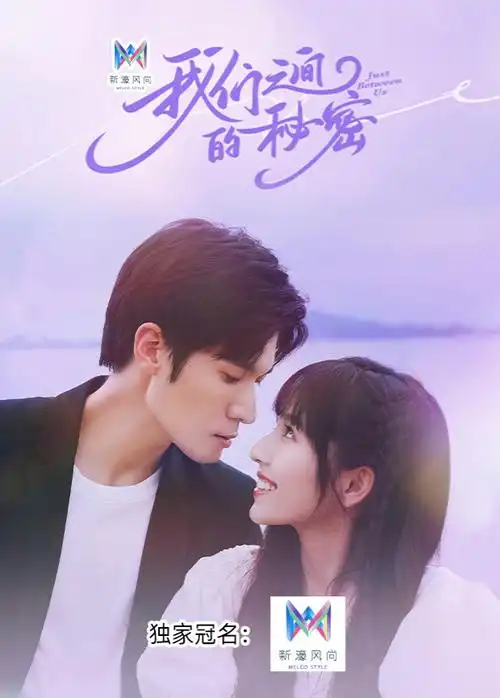 影评解读·电影速看