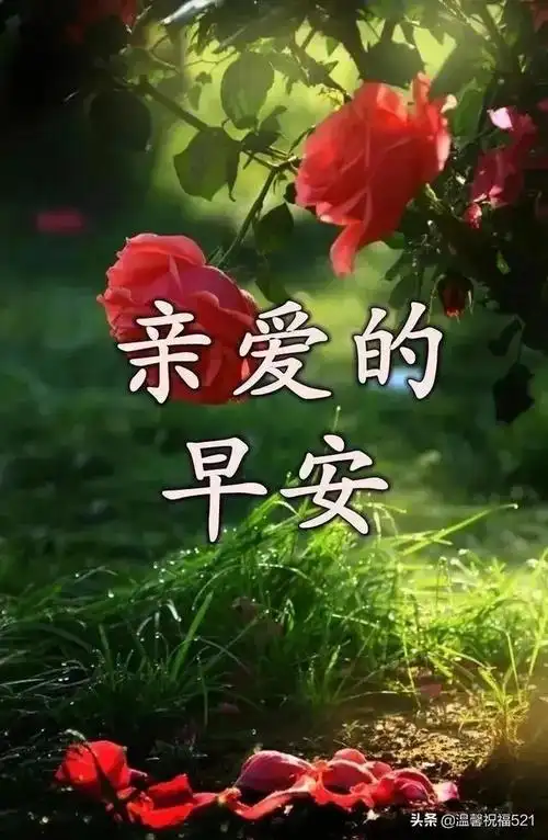 早上温暖人心的句子_温暖人心的句子正能量_温暖人心的短句子