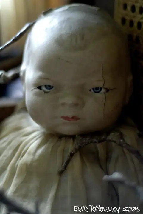 国外搜集的一堆恐怖娃娃照片