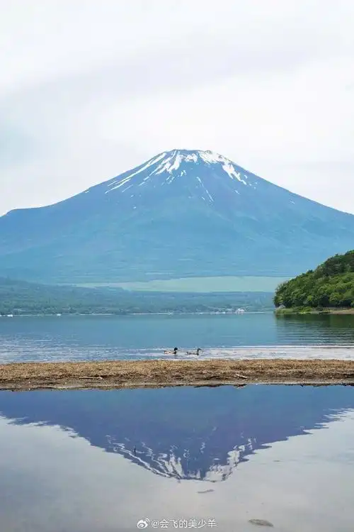 壁纸 风景 摄影 桌面 690_1035 竖版 竖屏 手机