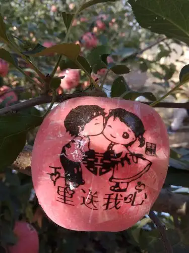 2017情人节心形礼盒 爱情果 爱情带字