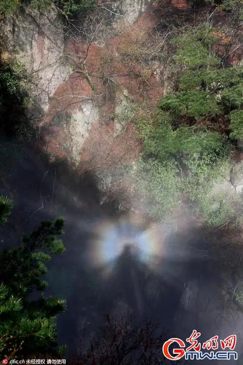 安徽黄山雨过天晴现绝美佛光奇观
