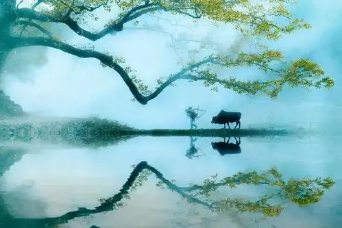 能不忆江南? 2,忆江南 ——唐·皇甫松 兰烬落,屏上暗红蕉.