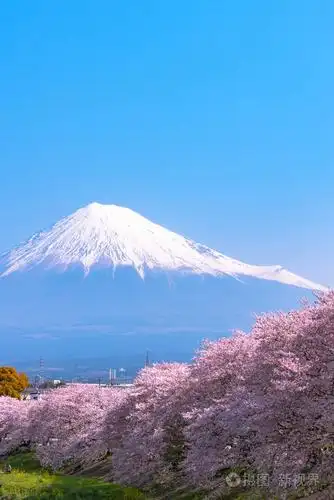 富士山(山).