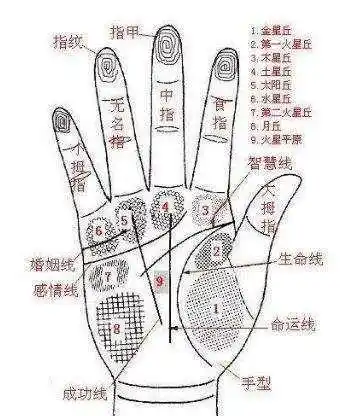 人生有五大坎8,29,38,47,50岁;手相方面:中指有破纹和生命线有断开
