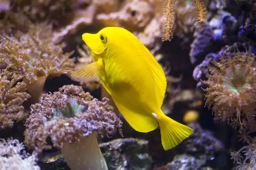 sea life timmendorfer strand - picture of sea life timmendorfer