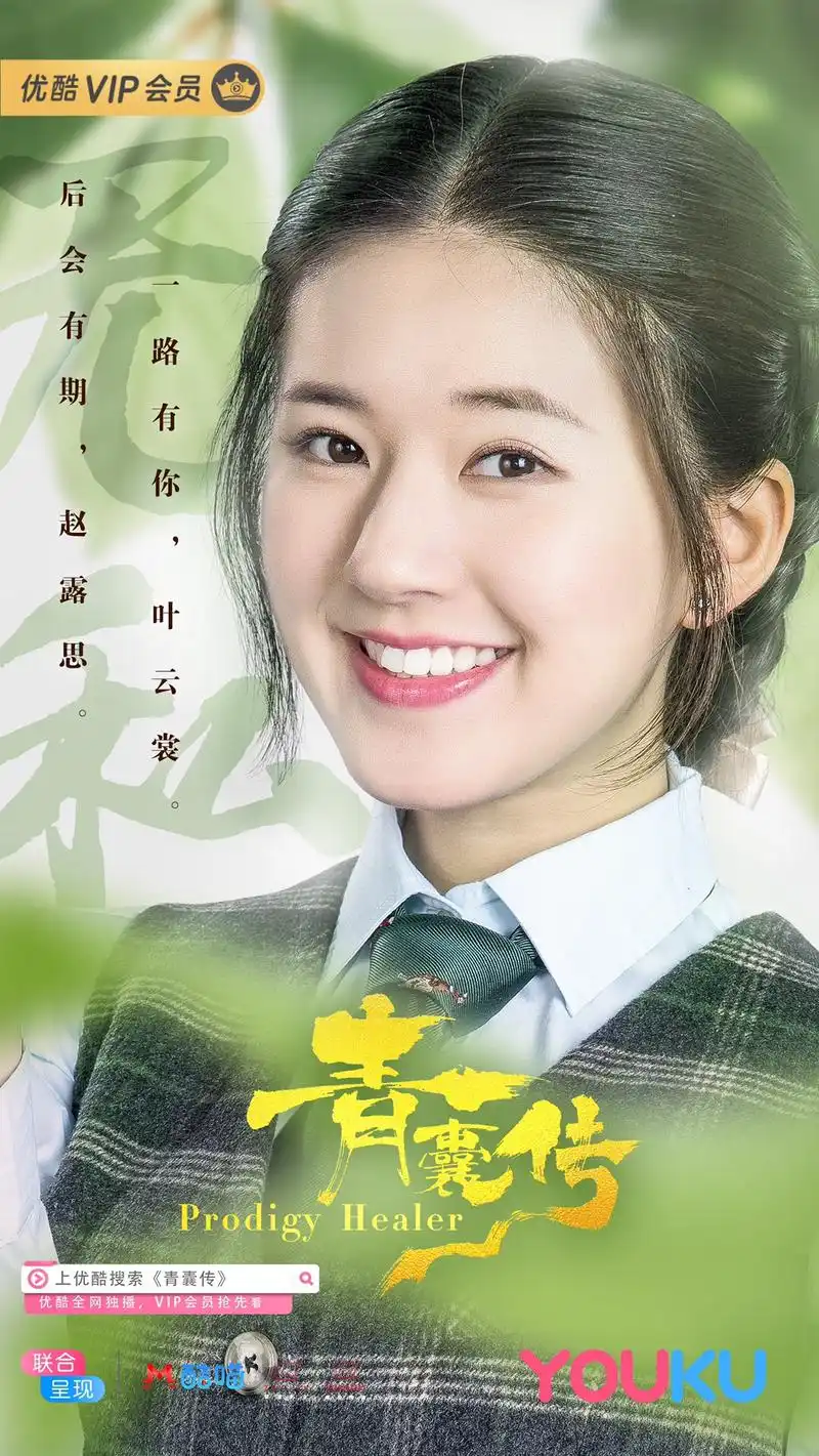 电视剧青囊传 发布正式收官海报!