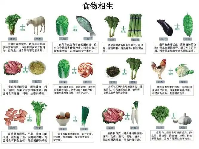 食物相生相克大全