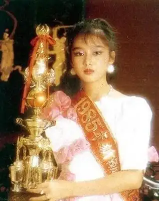 传朱丽倩已怀孕3个月 刘德华回港闭门陪安胎