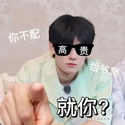 张真源近期但又不近期表情包