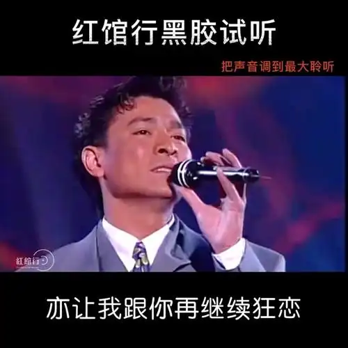 红馆行黑胶试听分享 刘德华经典歌曲《爱不完》