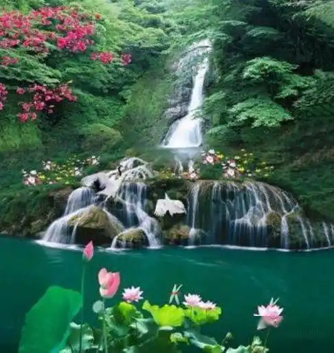 中老年头像大全适合中年人的山水风景微信头像