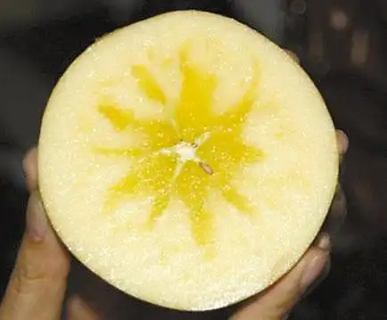 经营户切开后的苹果看到了冰糖心.jpg