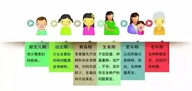 一张"女性妇科疾病地图",告诉你什么时间容易得病_生育