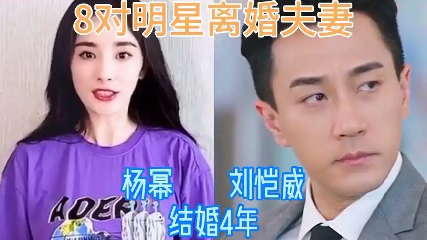 8对明星离婚夫妻