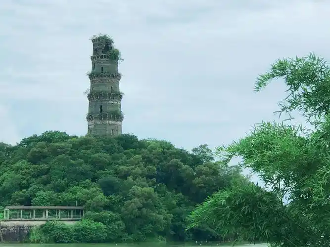 和罗锦亮社长——《三元塔》