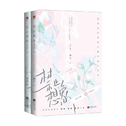 禁止想象 全二册 勖力 著 遇到她开始 注定他是一个歹人角色 青春文学