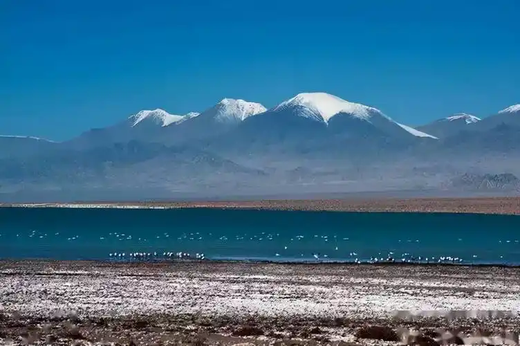 阿尔金山新疆最极致的景观诱惑最后一片被人遗忘的净土