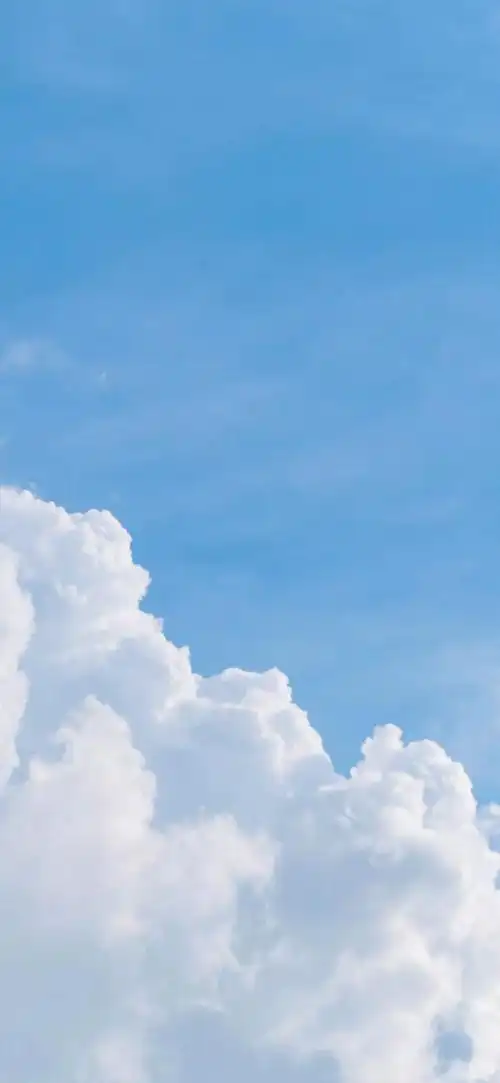 全面屏壁纸高清关于春天小清新壁纸