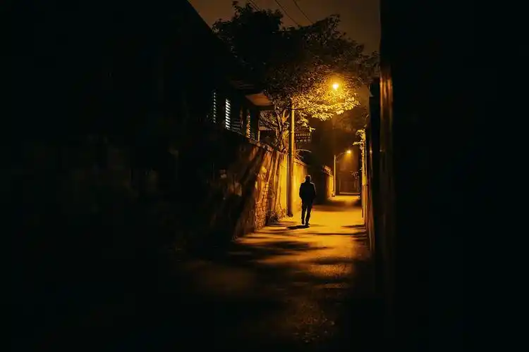 街头摄影之孤独夜归人