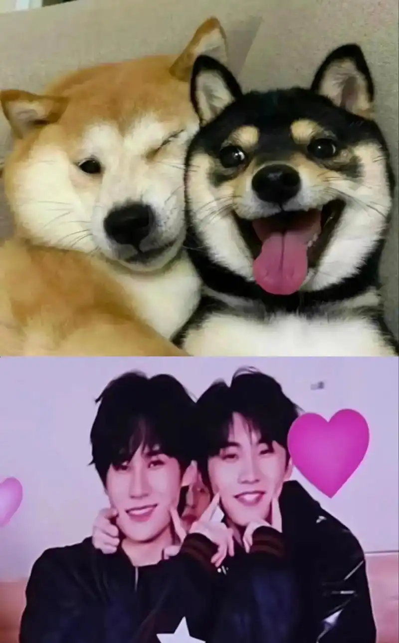 " #马嘉祺 #张真源 #祺源 - 抖音