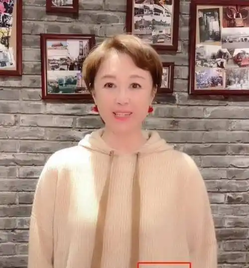 57岁傅艺伟晒千万豪宅,近照崩坏被认成马丽,和多人聚餐引公愤_印象