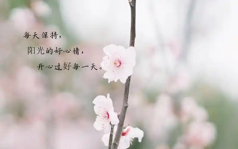 夏天天气凉爽心情好的好说说,高清壁纸图片,非主流-回车桌面