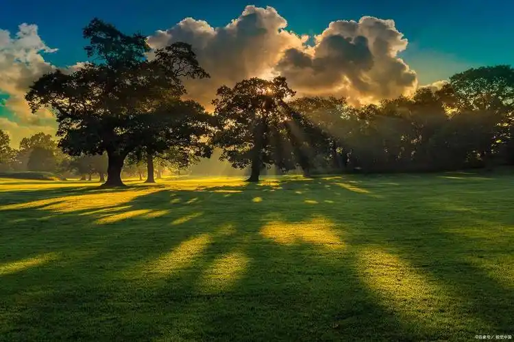 早晨的句子唯美短句(早安文案吸引朋友圈的句子)_那晨曦_世界_宁静