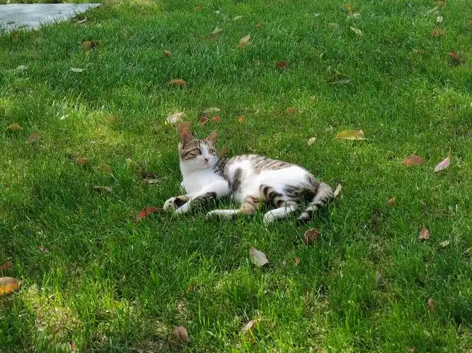 捕捉生活中可爱的每一个瞬间